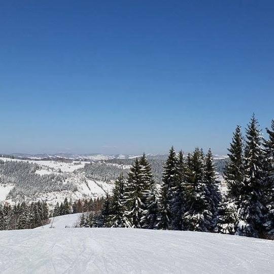 Milanova Koliba Zlatar Chalet *